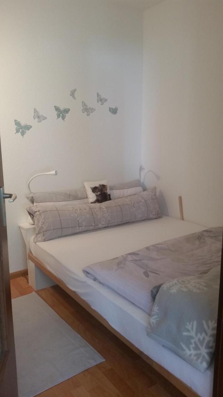 Ferienwohnung Am Titisee 外观 照片